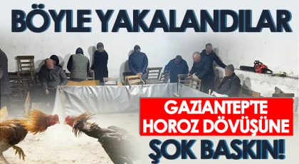 Gaziantep'te horoz dövüştüren 27 şahsa 109 bin lira ceza