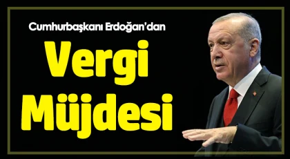Hangi vergi borçları silinecek? Hangi vergi borçları yapılandırılacak!