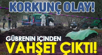 Hayvan gübresinin içinden vahşet çıktı!