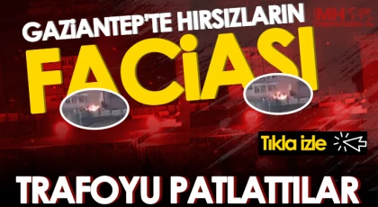 Hırsızlık için girdikleri trafoyu patlattılar