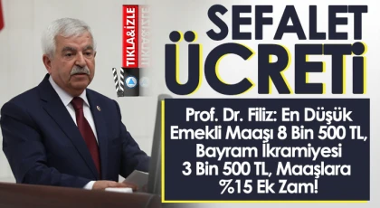 Prof. Dr. Filiz: Bu miktar emekliye yaşam değil, sefalet ücretidir!