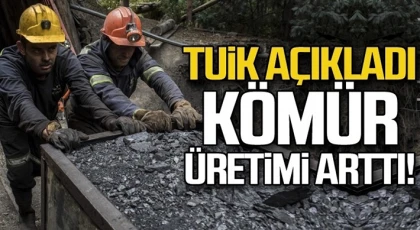 Taşkömürü ithalatı arttı