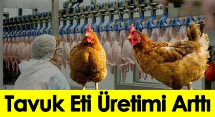 Tavuk eti üretimi yüzde arttı