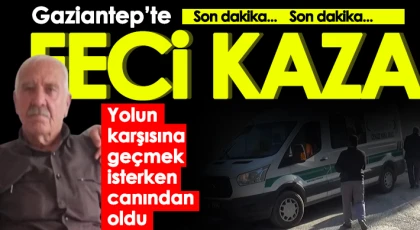 Yolun karşısına geçmek isterken canından oldu