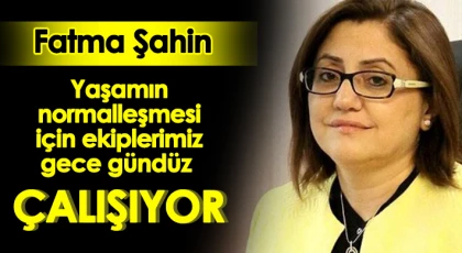 Şahin: 'Şehirde bulunan evlerin yüzde 70’i tarandı'