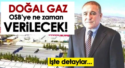 Şimşek: Kaldığımız yerden devam edeceğiz