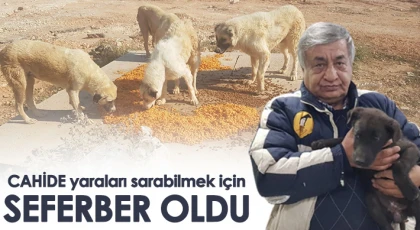 CAHİDE yaraları sarabilmek için seferber oldu