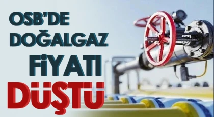Gaziantep OSB’de Doğalgaz fiyatı 9,48 ₺/m3, düştü