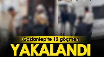 Gaziantep'te 12 göçmen yakalandı