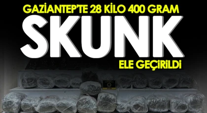 Gaziantep'te 28 kilo 400 gram skunk ele geçirildi