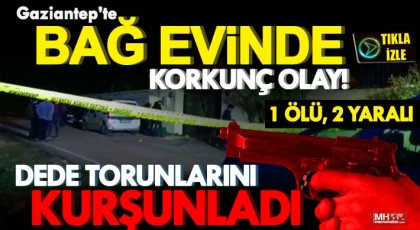 Gaziantep'te dehşet! Dede torunlarına kurşun yağdırdı