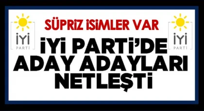 İYİ Parti'de aday adayları belli oldu