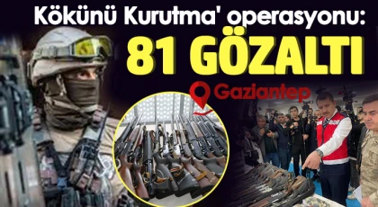 'Kökünü Kurutma' operasyonu: 81 gözaltı
