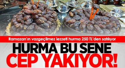Ramazan’ın vazgeçilmez lezzeti hurma 250 TL’den satılıyor