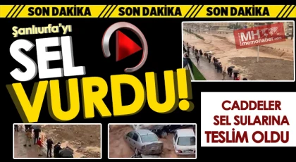 Şanlıurfa'da caddeler sel sularına teslim oldu
