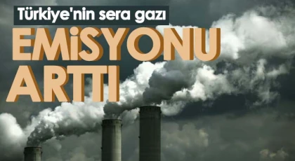 Türkiye'nin sera gazı emisyonu 2021'de yüzde 7,7 arttı