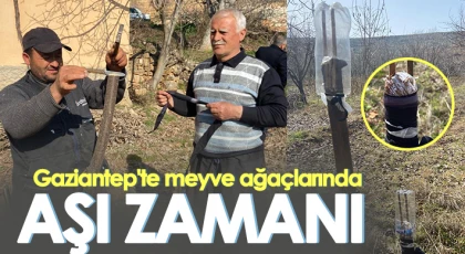 Uğur :Ağaç Aşılama Nedir? Nasıl ve Neden Yapılır?