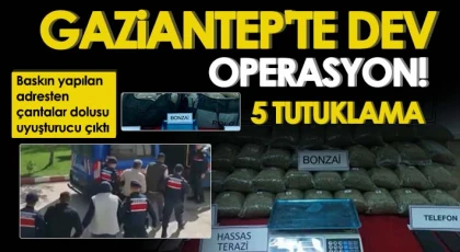 Gaziantep'te 33 kilo bonzai ele geçirildi