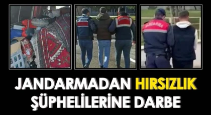 Gaziantep'te hırsızlık şüphelisi 34 şahıs tutuklandı