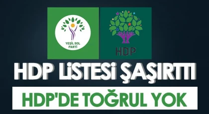 HDP listesi şaşırttı! HDP'de Toğrul yok