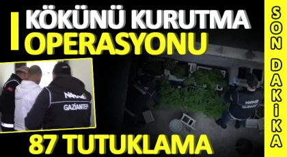Kökünü kurutma operasyonu: 87 tutuklama