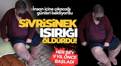 Sivrisineğin ısırdığı güvenlik görevlisinin acı ölümü