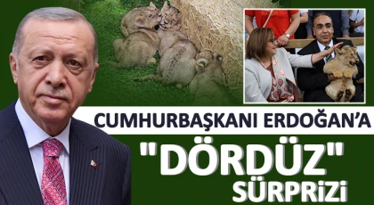 Cumhurbaşkanı Erdoğan’a "dördüz" sürprizi