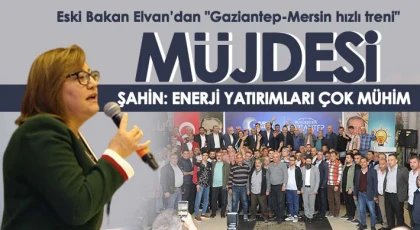 Eski Bakan Elvan’dan 'Gaziantep-Mersin hızlı treni' müjdesi