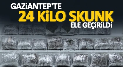 Gaziantep'te 24 kilo skunk ele geçirildi