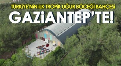 Türkiye’nin ilk Tropik Uğur Böceği Bahçesi Gaziantep’te