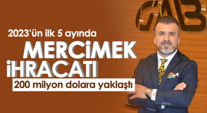 2023’ün ilk 5 ayında mercimek ihracatı 200 milyon dolara yaklaştı