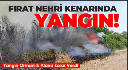 Fırat Nehri Kenarındaki Yangın Ormanlık Alana Zarar Verdi