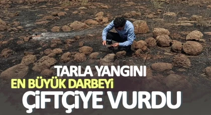 İslahiye'deki tarla yangını en büyük darbeyi çiftçiye vurdu