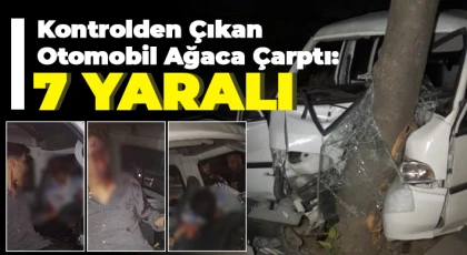Kontrolden çıkan otomobil ağaca çarptı: 7 yaralı