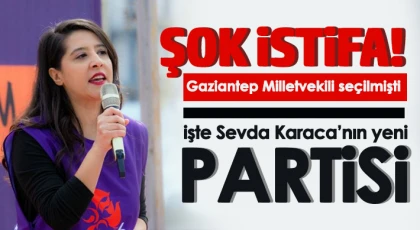 Milletvekili seçilmişti, partisinden istifa etti!