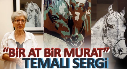 Ressam Emine Özdemir’in SANKO Sanat Galerisi’nde açtığı sergi devam ediyor