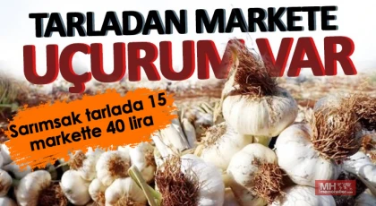 Sarımsak tarlada 15, markette 40 lira