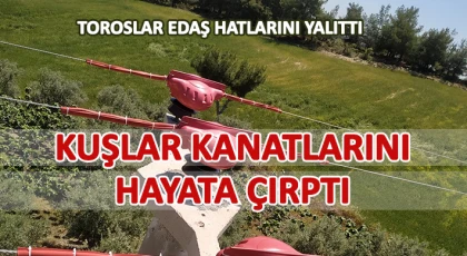 Toroslar EDAŞ Hatlarını Yalıttı, Kuşlar Kanatlarını Hayata Çırptı