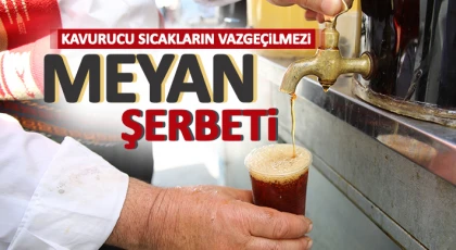 Yaz aylarının geleneksel içeceği asırlardır damakları tatlandırıyor