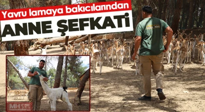  Annesi tarafından terk edilen lamaya bakıcıları sahip çıktı