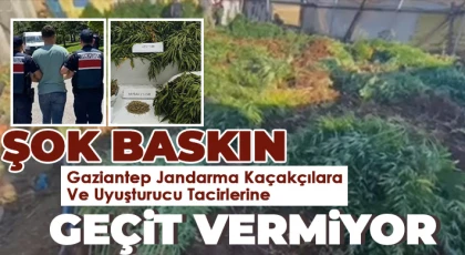 Çok miktarda uyuşturucu ele geçirildi