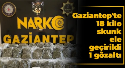 Gaziantep'te 18 kilo skunk ele geçirildi: 1 gözaltı