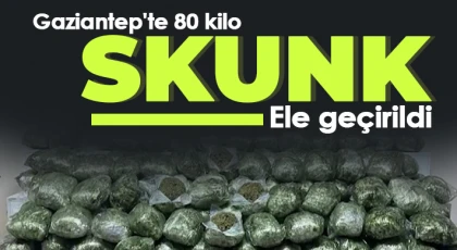 Gaziantep'te 80 kilo skunk ele geçirildi