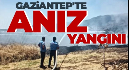 Gaziantep'te anız yangını; 45 dönüm ile ağaçlar küle döndü