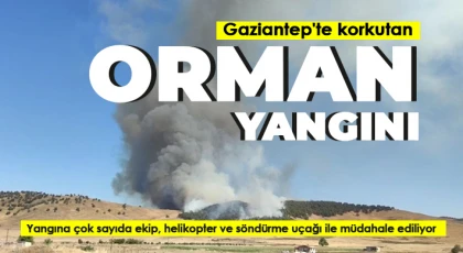 Gaziantep'te korkutan orman yangını
