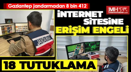 İnternet üzerinden suç işleyen 18 şüpheli tutuklandı