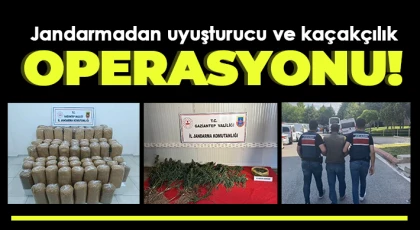 Jandarmadan uyuşturucu ve kaçakçılık operasyonu: 1 şahıs tutuklandı