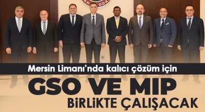 Mersin Limanı’nda kalıcı çözüm için GSO ve MIP birlikte çalışacak
