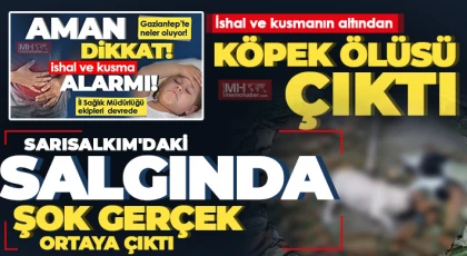 Su kuyusundaki köpek ölüsü ortalığı karıştırdı