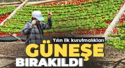 Yılın ilk kurutmalıkları güneşe bırakıldı